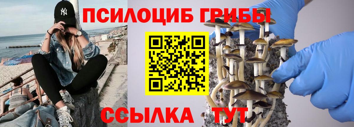 Галлюциногенные грибы Magic Shrooms  Вход с VPN  Вольск 