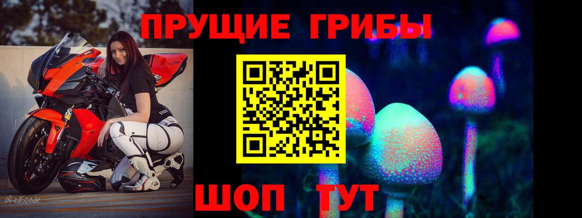 Псилоцибиновые грибы Psilocybine cubensis Вольск