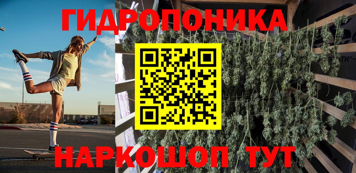 Канабис OG Kush Вольск